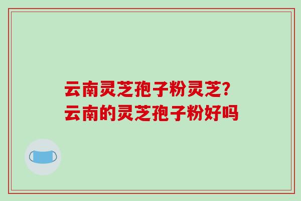 云南灵芝孢子粉灵芝?云南的灵芝孢子粉好吗