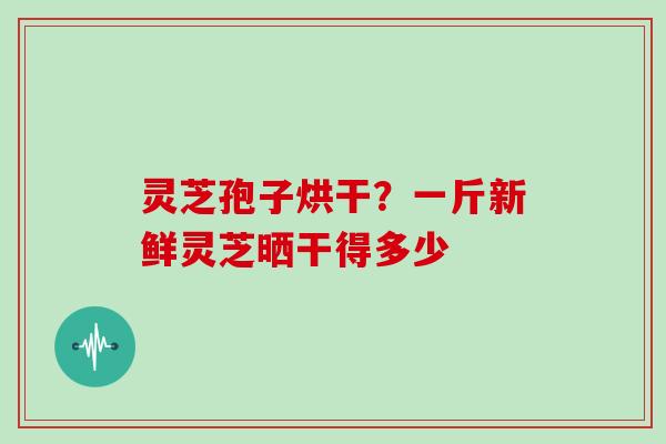 灵芝孢子烘干?一斤新鲜灵芝晒干得多少