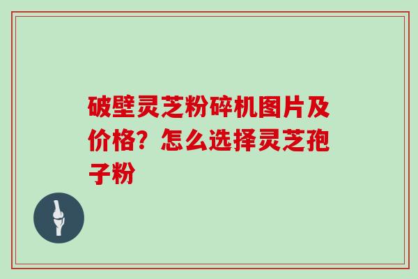 破壁灵芝粉碎机图片及价格?怎么选择灵芝孢子粉