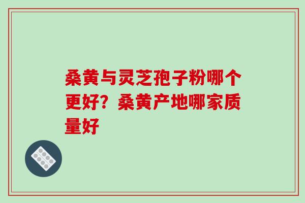 桑黄与灵芝孢子粉哪个更好?桑黄产地哪家质量好