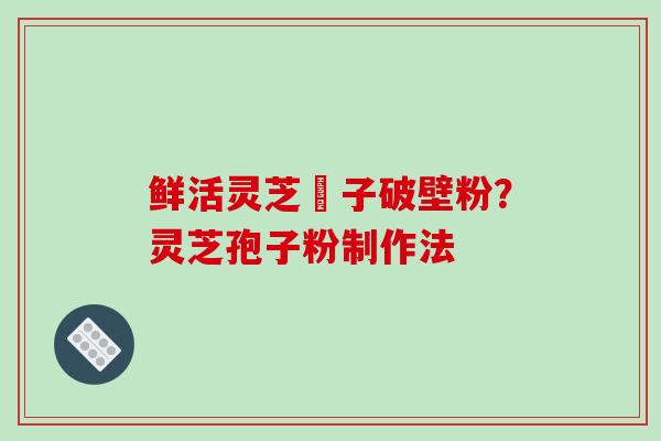 鲜活灵芝菢子破壁粉?灵芝孢子粉制作法