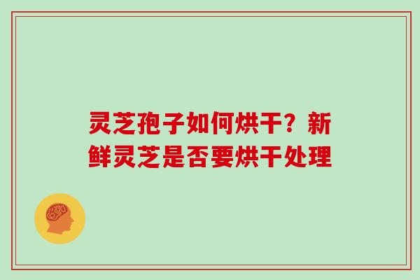 灵芝孢子如何烘干?新鲜灵芝是否要烘干处理