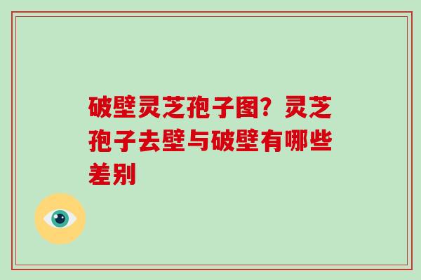破壁灵芝孢子图?灵芝孢子去壁与破壁有哪些差别