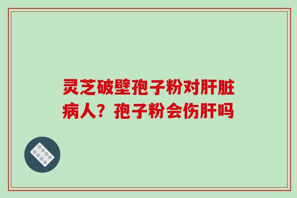 灵芝破壁孢子粉对肝脏病人?孢子粉会伤肝吗