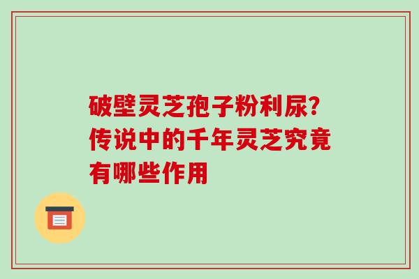 破壁灵芝孢子粉利尿?传说中的千年灵芝究竟有哪些作用