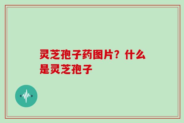 灵芝孢子药图片?什么是灵芝孢子
