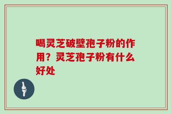 喝灵芝破壁孢子粉的作用?灵芝孢子粉有什么好处
