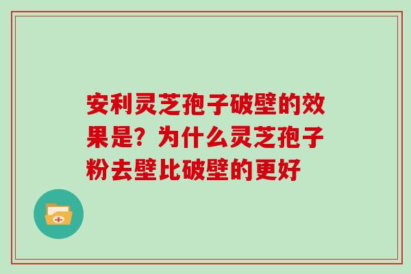 安利灵芝孢子破壁的效果是?为什么灵芝孢子粉去壁比破壁的更好