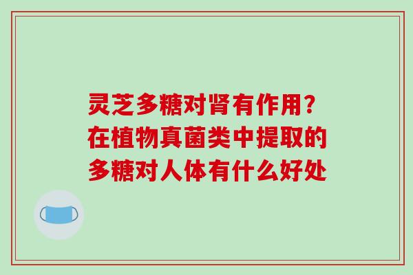 灵芝多糖对肾有作用？在植物真菌类中提取的多糖对人体有什么好处