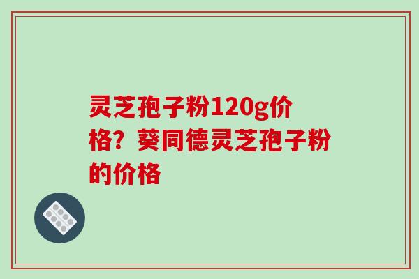 灵芝孢子粉120g价格?葵同德灵芝孢子粉的价格