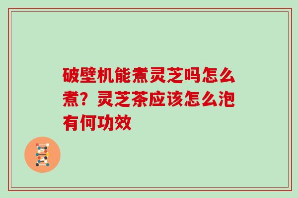 破壁机能煮灵芝吗怎么煮?灵芝茶应该怎么泡有何功效