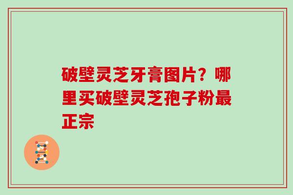 破壁灵芝牙膏图片?哪里买破壁灵芝孢子粉最正宗