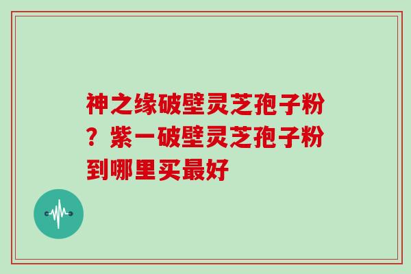 神之缘破壁灵芝孢子粉?紫一破壁灵芝孢子粉到哪里买最好