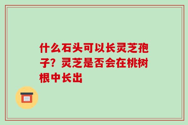 什么石头可以长灵芝孢子？灵芝是否会在桃树根中长出