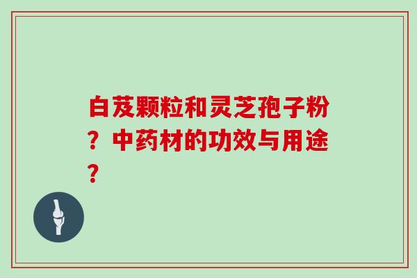 白芨颗粒和灵芝孢子粉?中药材的功效与用途?