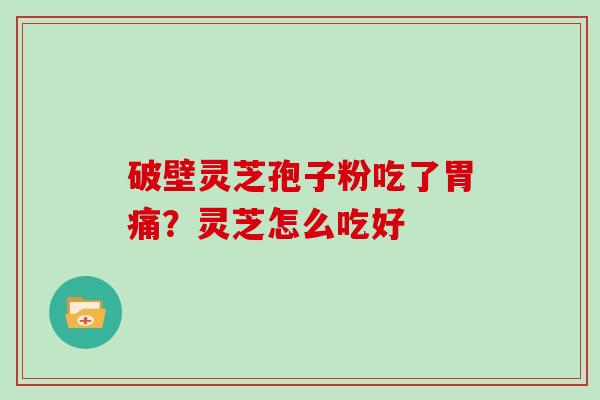 破壁灵芝孢子粉吃了胃痛?灵芝怎么吃好