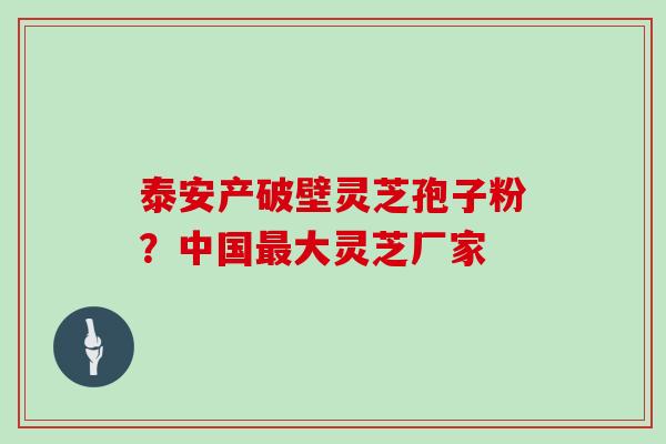 泰安产破壁灵芝孢子粉?中国最大灵芝厂家
