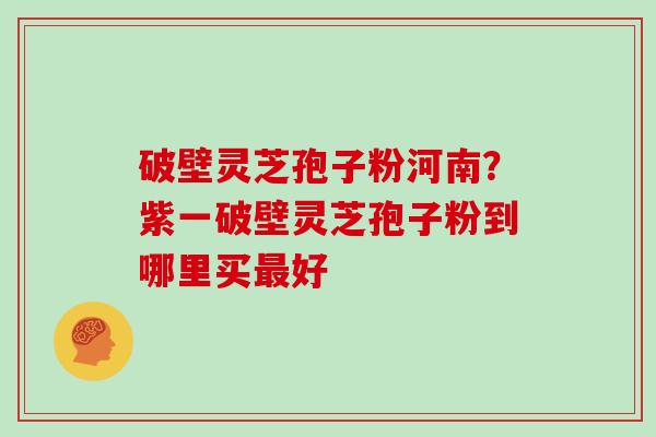 破壁灵芝孢子粉河南？紫一破壁灵芝孢子粉到哪里买最好