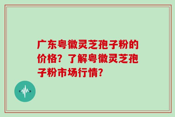 广东粤徽灵芝孢子粉的价格？了解粤徽灵芝孢子粉市场行情？