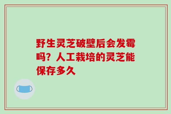 野生灵芝破壁后会发霉吗？人工栽培的灵芝能保存多久