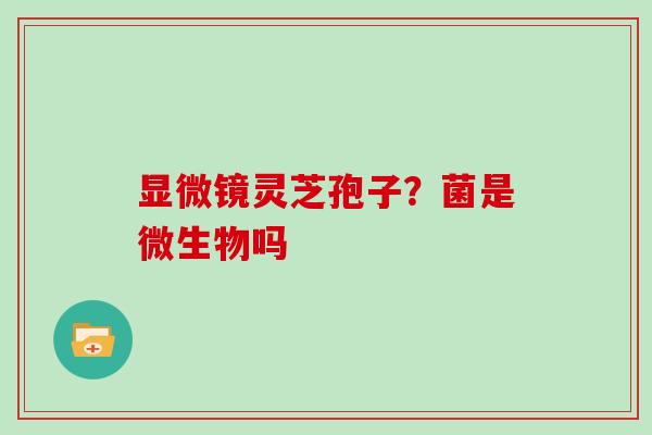 显微镜灵芝孢子?菌是微生物吗
