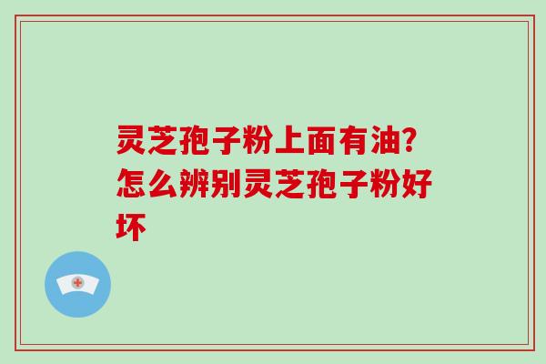 灵芝孢子粉上面有油?怎么辨别灵芝孢子粉好坏