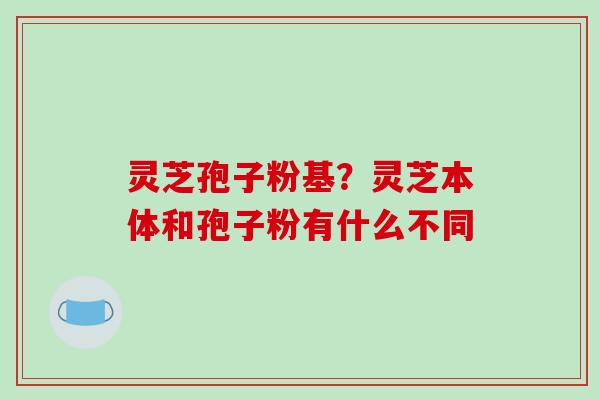 灵芝孢子粉基？灵芝本体和孢子粉有什么不同