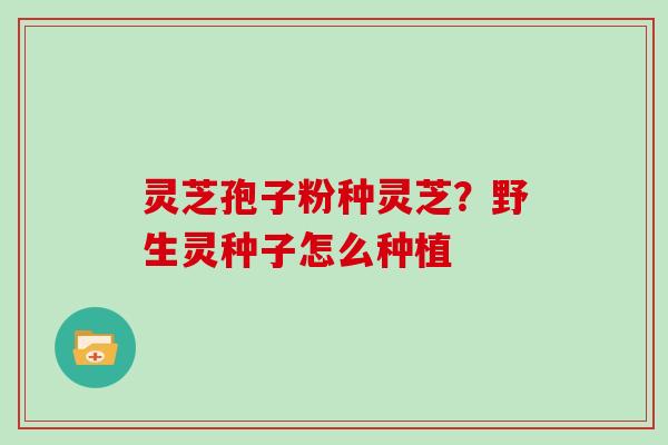 灵芝孢子粉种灵芝?野生灵种子怎么种植