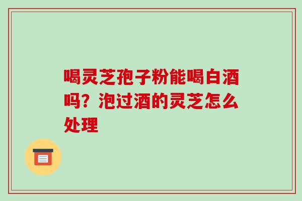 喝灵芝孢子粉能喝白酒吗？泡过酒的灵芝怎么处理