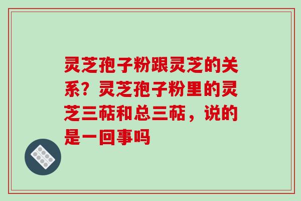 灵芝孢子粉跟灵芝的关系?灵芝孢子粉里的灵芝三萜和总三萜,说的是一回事吗