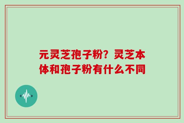 元灵芝孢子粉?灵芝本体和孢子粉有什么不同