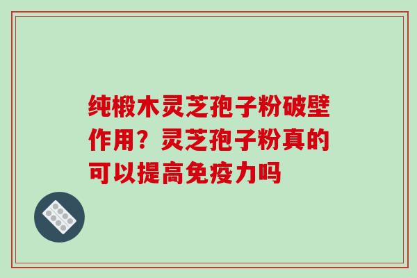 纯椴木灵芝孢子粉破壁作用?灵芝孢子粉真的可以提高免疫力吗