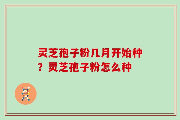 灵芝孢子粉几月开始种?灵芝孢子粉怎么种