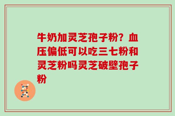 牛奶加灵芝孢子粉?血压偏低可以吃三七粉和灵芝粉吗灵芝破壁孢子粉