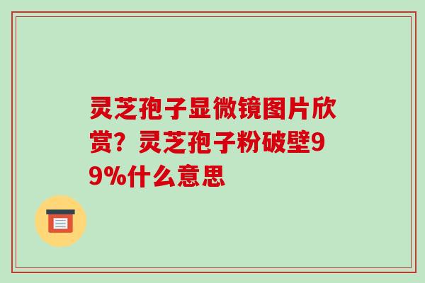 灵芝孢子显微镜图片欣赏？灵芝孢子粉破壁99%什么意思