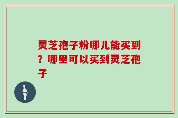 灵芝孢子粉哪儿能买到?哪里可以买到灵芝孢子