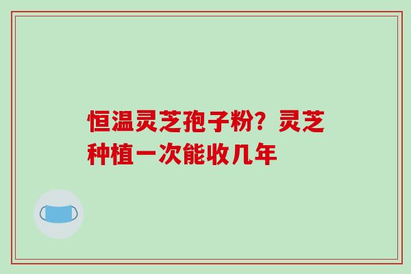 恒温灵芝孢子粉?灵芝种植一次能收几年