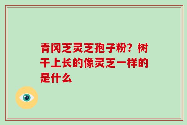 青冈芝灵芝孢子粉?树干上长的像灵芝一样的是什么