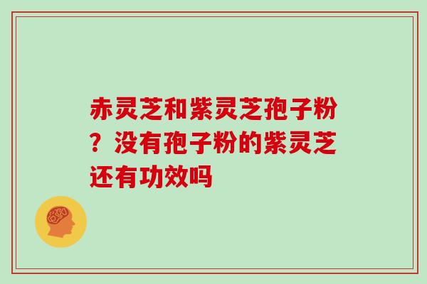 赤灵芝和紫灵芝孢子粉?没有孢子粉的紫灵芝还有功效吗