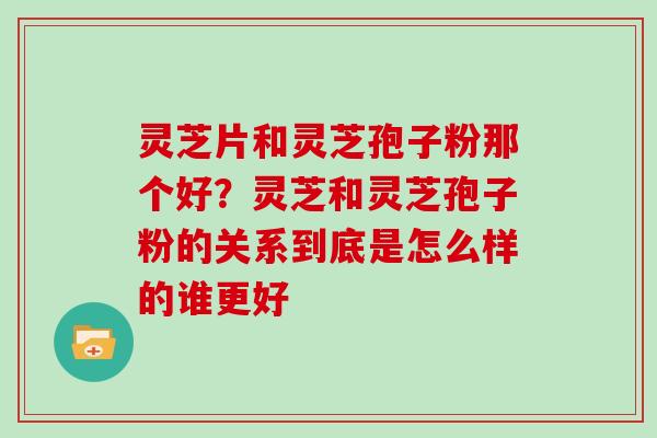 灵芝片和灵芝孢子粉那个好?灵芝和灵芝孢子粉的关系到底是怎么样的谁更好