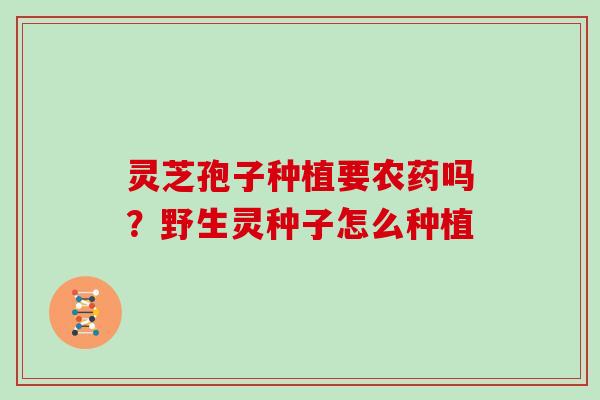 灵芝孢子种植要农药吗？野生灵种子怎么种植