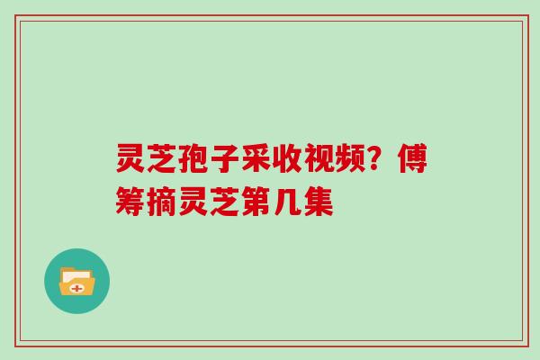 灵芝孢子采收视频?傅筹摘灵芝第几集