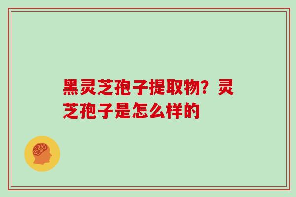 黑灵芝孢子提取物?灵芝孢子是怎么样的