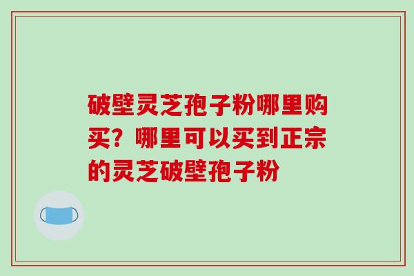 破壁灵芝孢子粉哪里购买？哪里可以买到正宗的灵芝破壁孢子粉