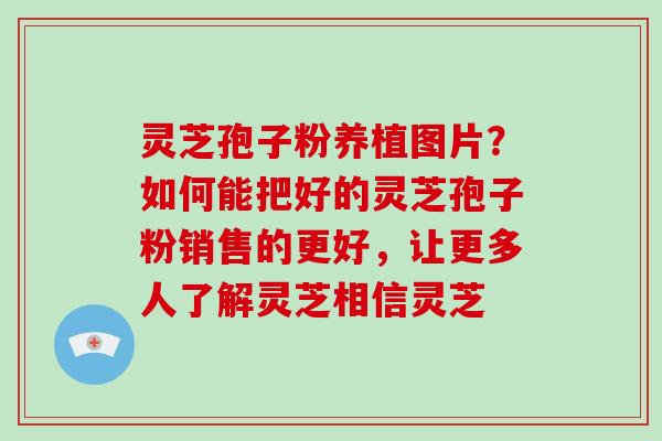 灵芝孢子粉养植图片？如何能把好的灵芝孢子粉销售的更好，让更多人了解灵芝相信灵芝