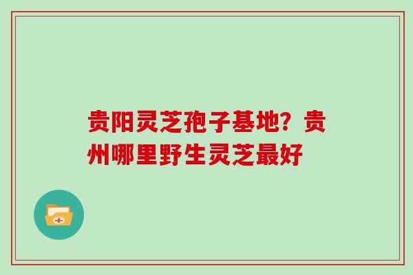 贵阳灵芝孢子基地?贵州哪里野生灵芝最好