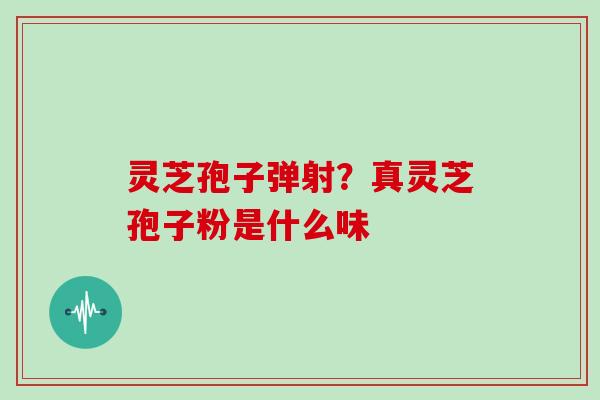 灵芝孢子弹射?真灵芝孢子粉是什么味