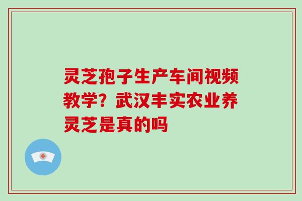 灵芝孢子生产车间视频教学?武汉丰实农业养灵芝是真的吗