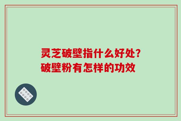 灵芝破壁指什么好处?破壁粉有怎样的功效