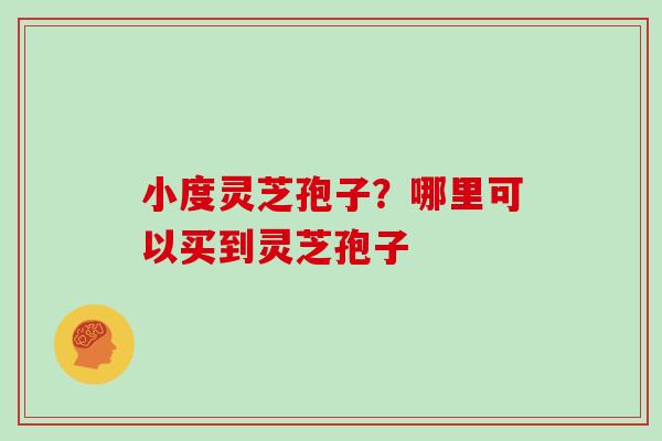 小度灵芝孢子？哪里可以买到灵芝孢子